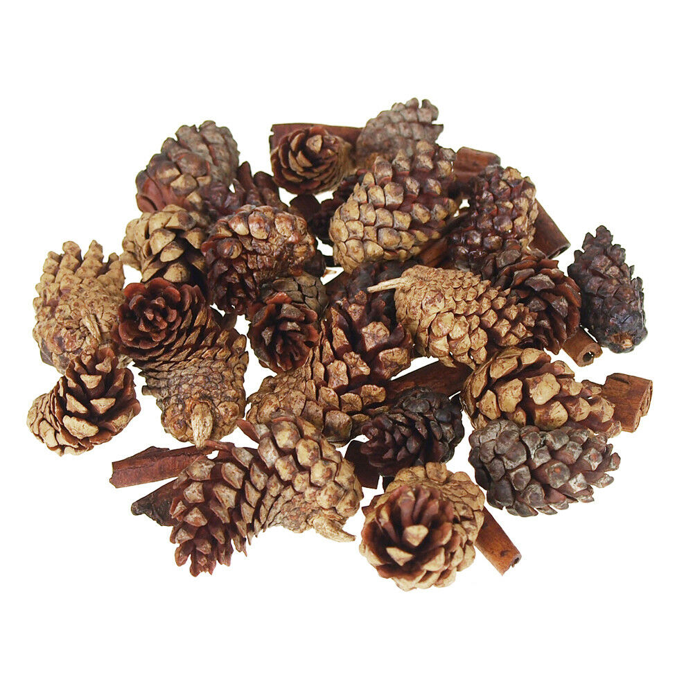 Dried Pine Cones Natural Forms with Cinnamon Sticks, 30-Piece