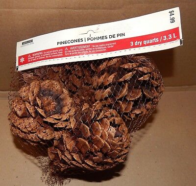 Pinecones Ashland Christmas Cinnamon Scented Smell 3 Dry Quarts Bag USA 149Y