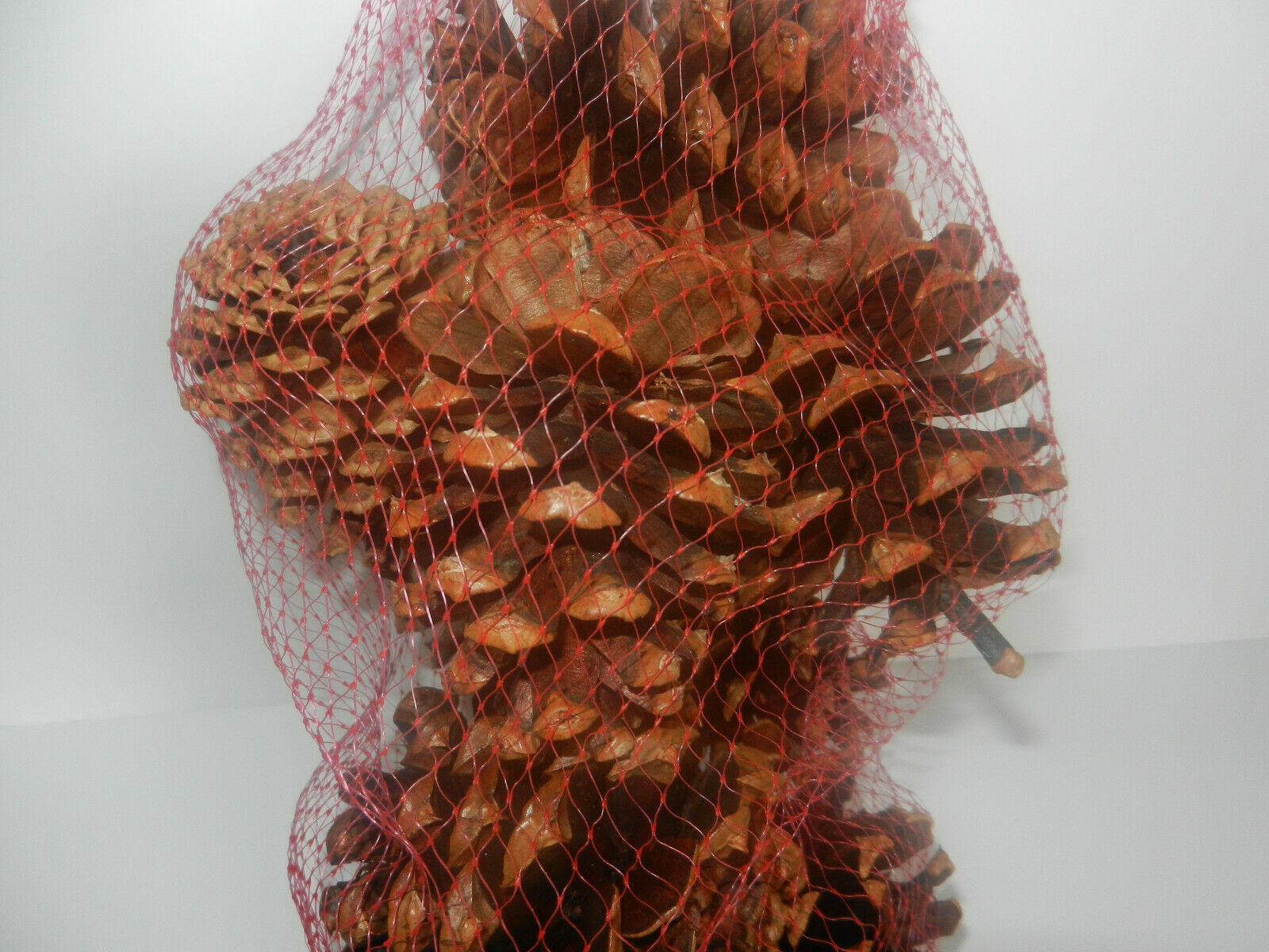 Hallmark Cinnamon Scented Pine Cones 9 Per Bag Fall Winter Decoration Crafts