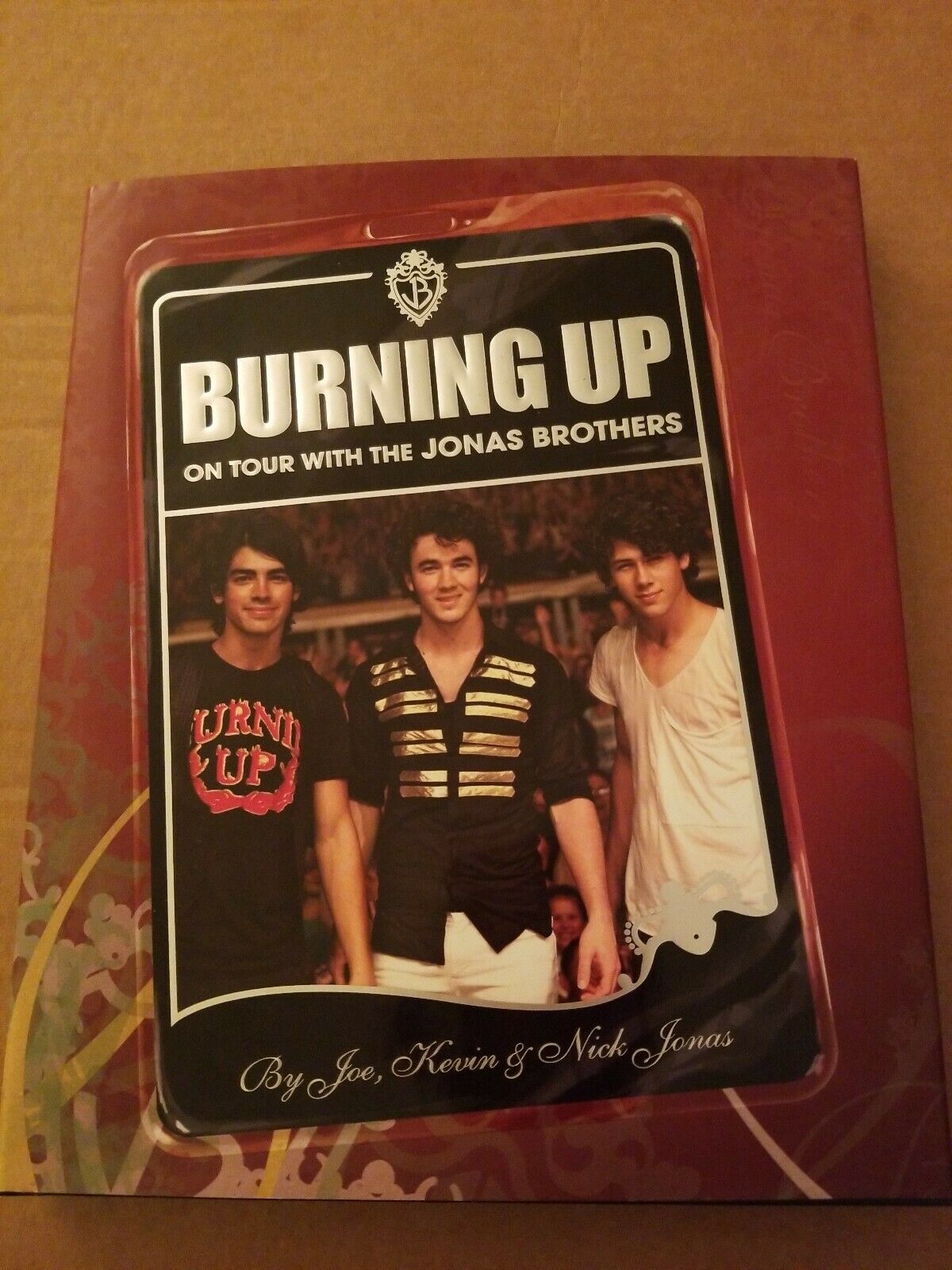 Burnining Up On Tour With The Jonas Brothers Disney Hardcover Book 2008