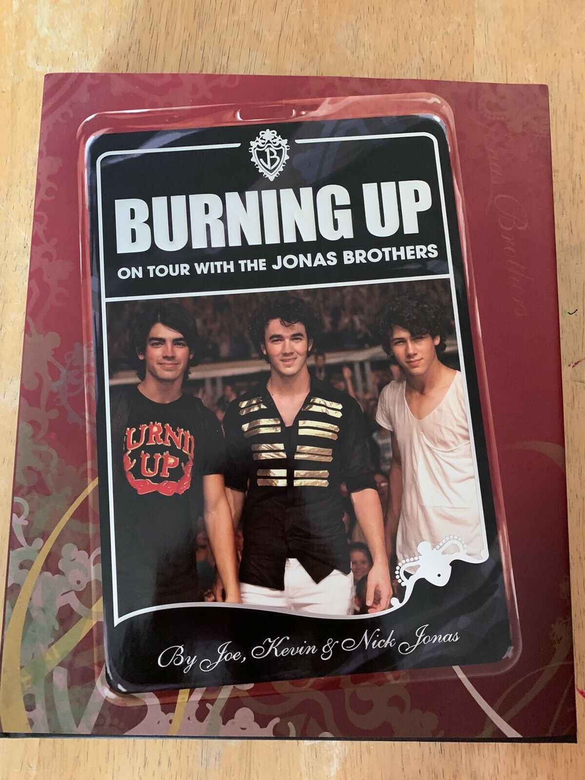 2008 Burning Up On Tour With The Jonas Brothers  Hardcover Book